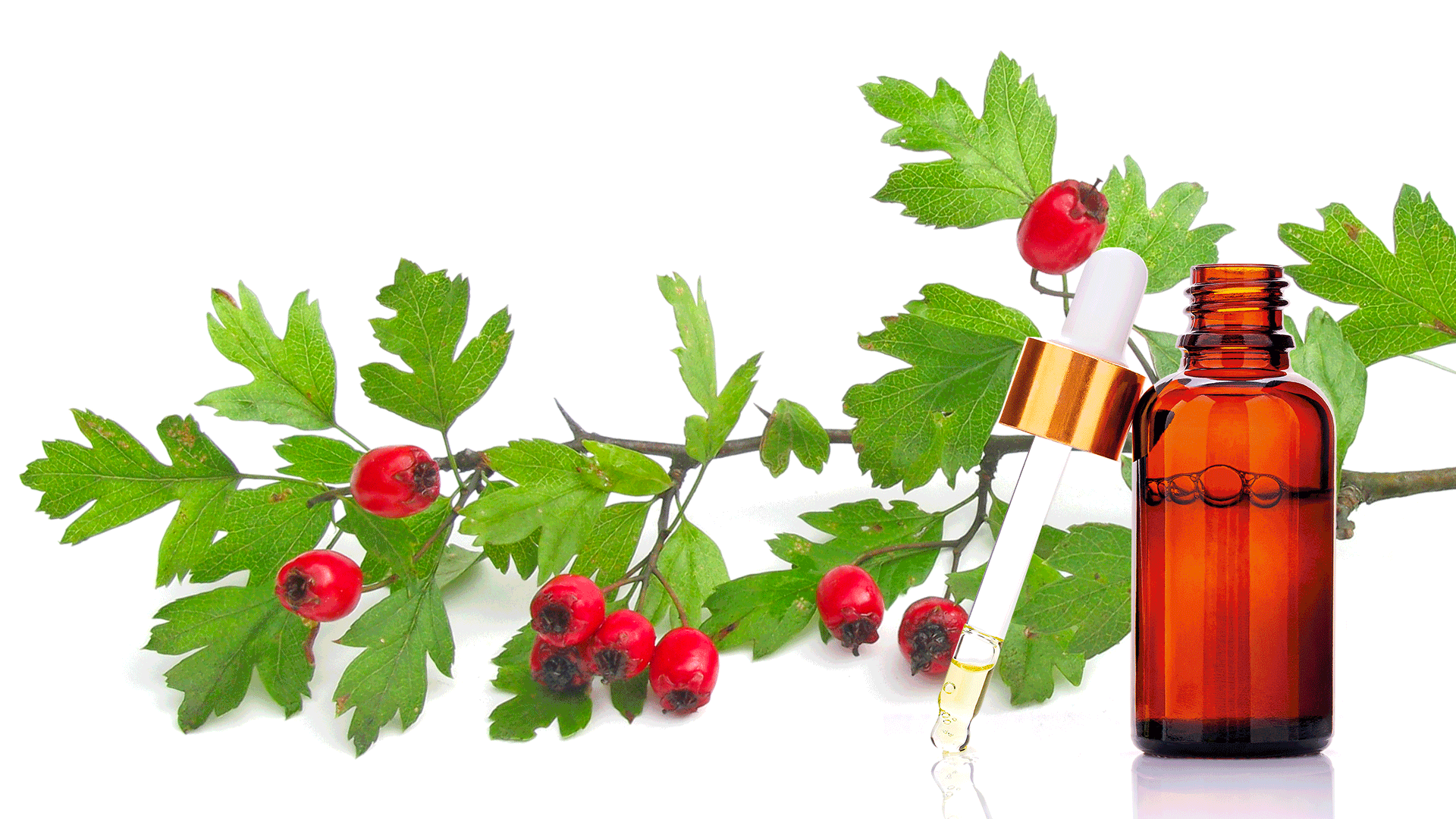 Pressione alta: i rimedi naturali