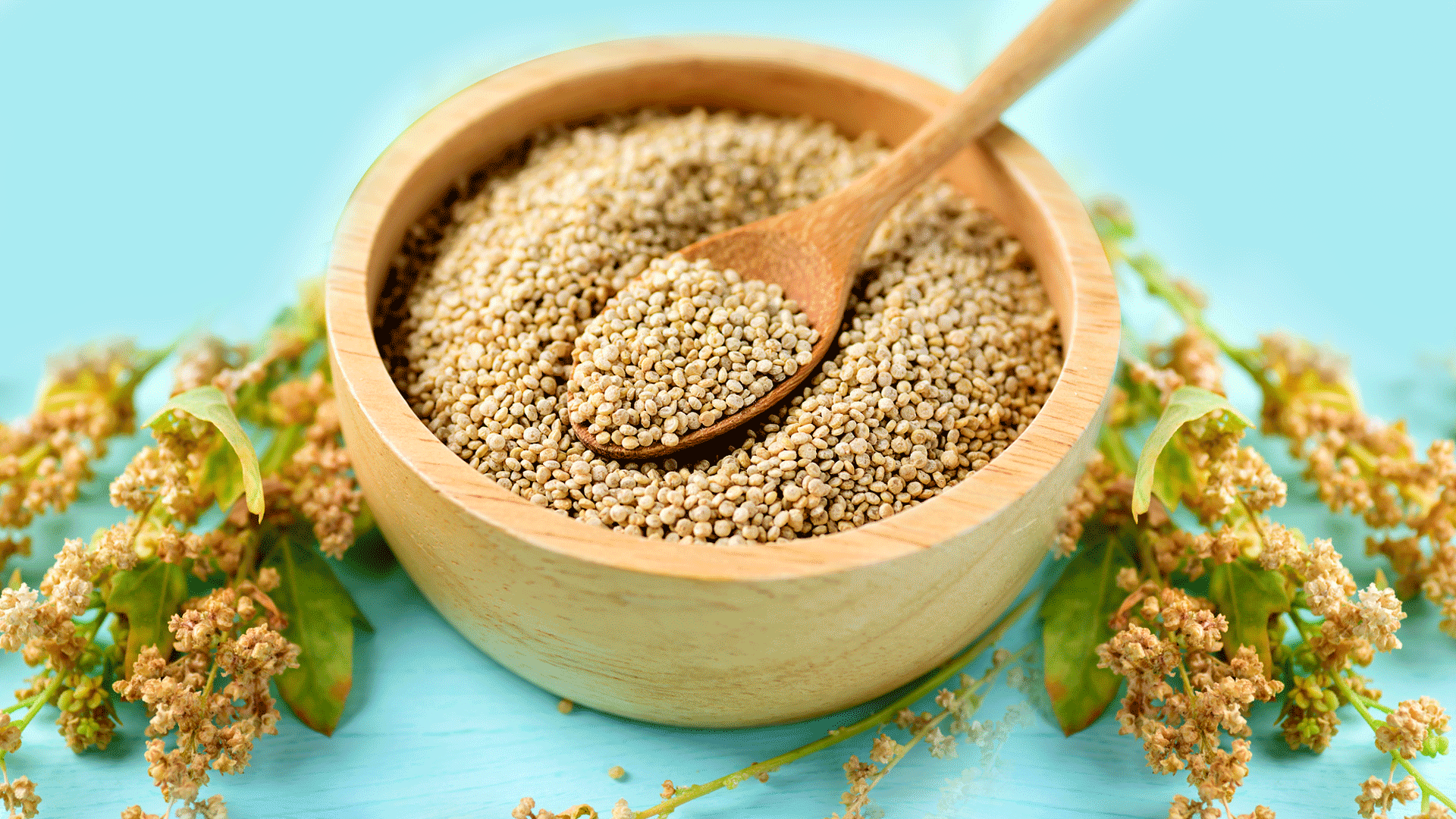 Proprietà della quinoa: ecco i suoi benefici e i modi d’uso